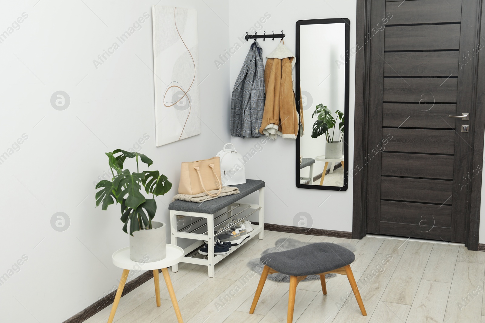 Photo of Mirror, houseplant and bench in stylish hallway