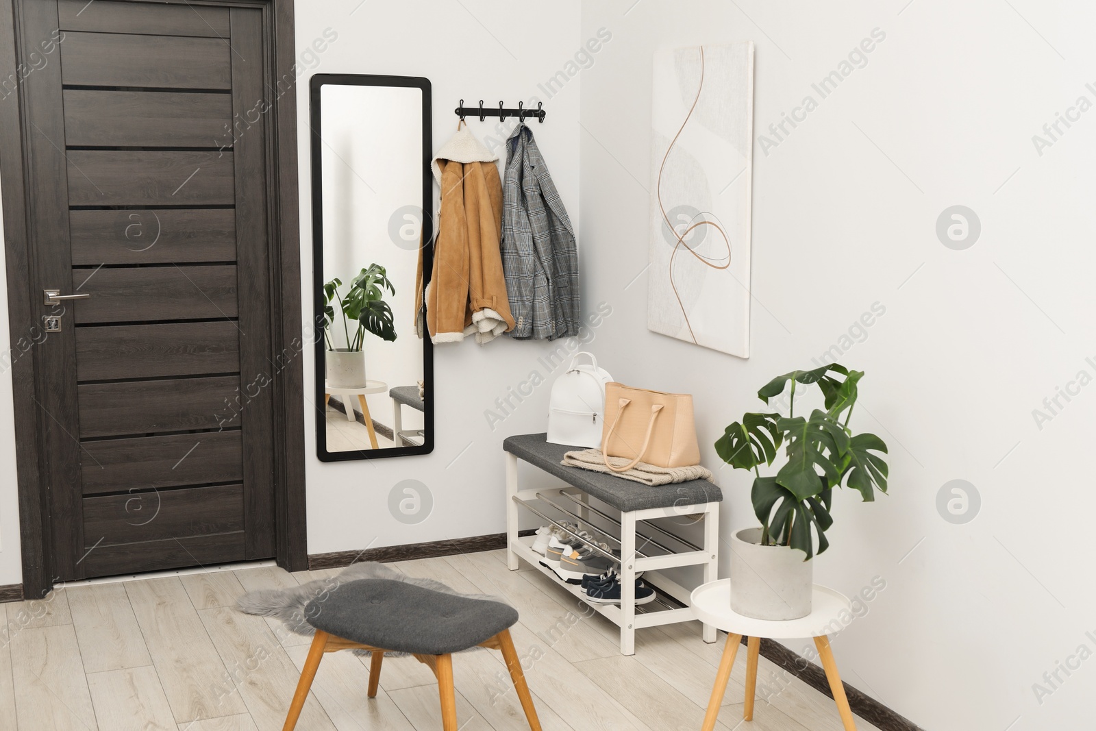 Photo of Mirror, houseplant and bench in stylish hallway