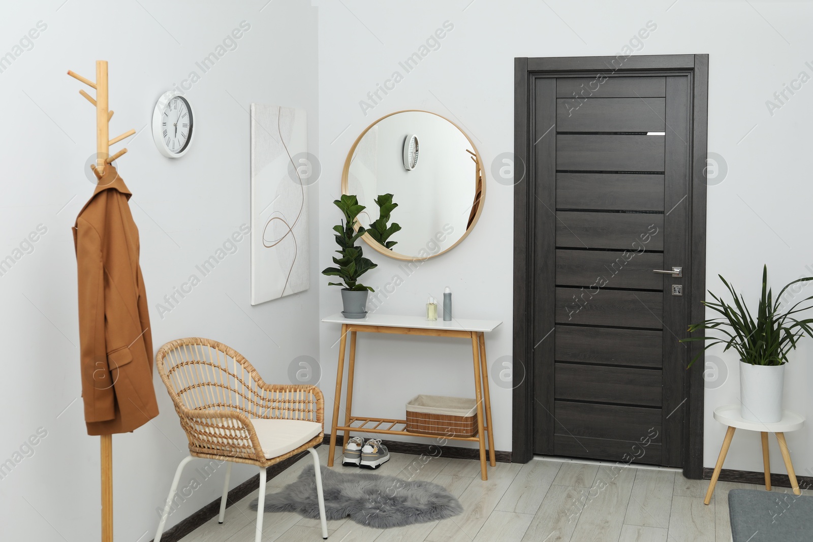 Photo of Clothing rack, mirror, houseplant and stylish furniture in hallway