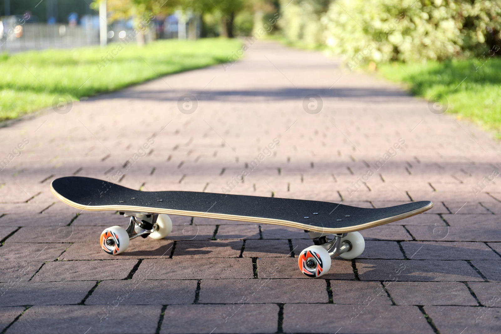 Photo of One modern skateboard on paved pathway outdoors