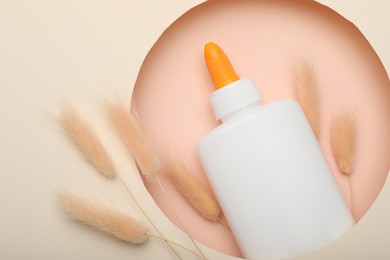 Photo of Bottle of glue and dry spikelets on beige background, top view