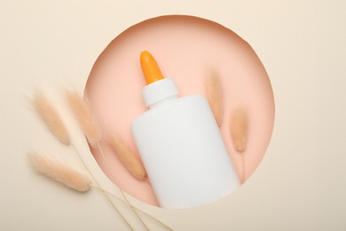 Photo of Bottle of glue and dry spikelets on beige background, top view