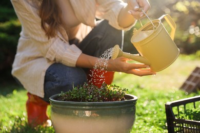 Photo of Woman watering potted seedlings with can outdoors, closeup