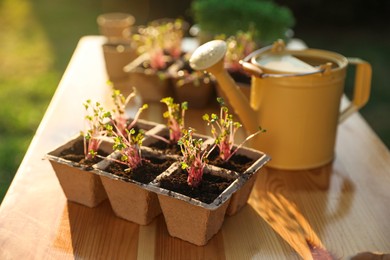 Photo of Potted seedlings and watering can on wooden table outdoors