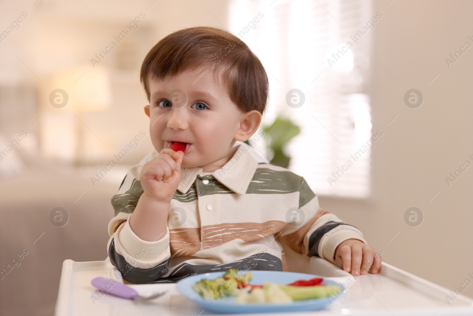 Photo of Cute little baby eating healthy food in high chair at home