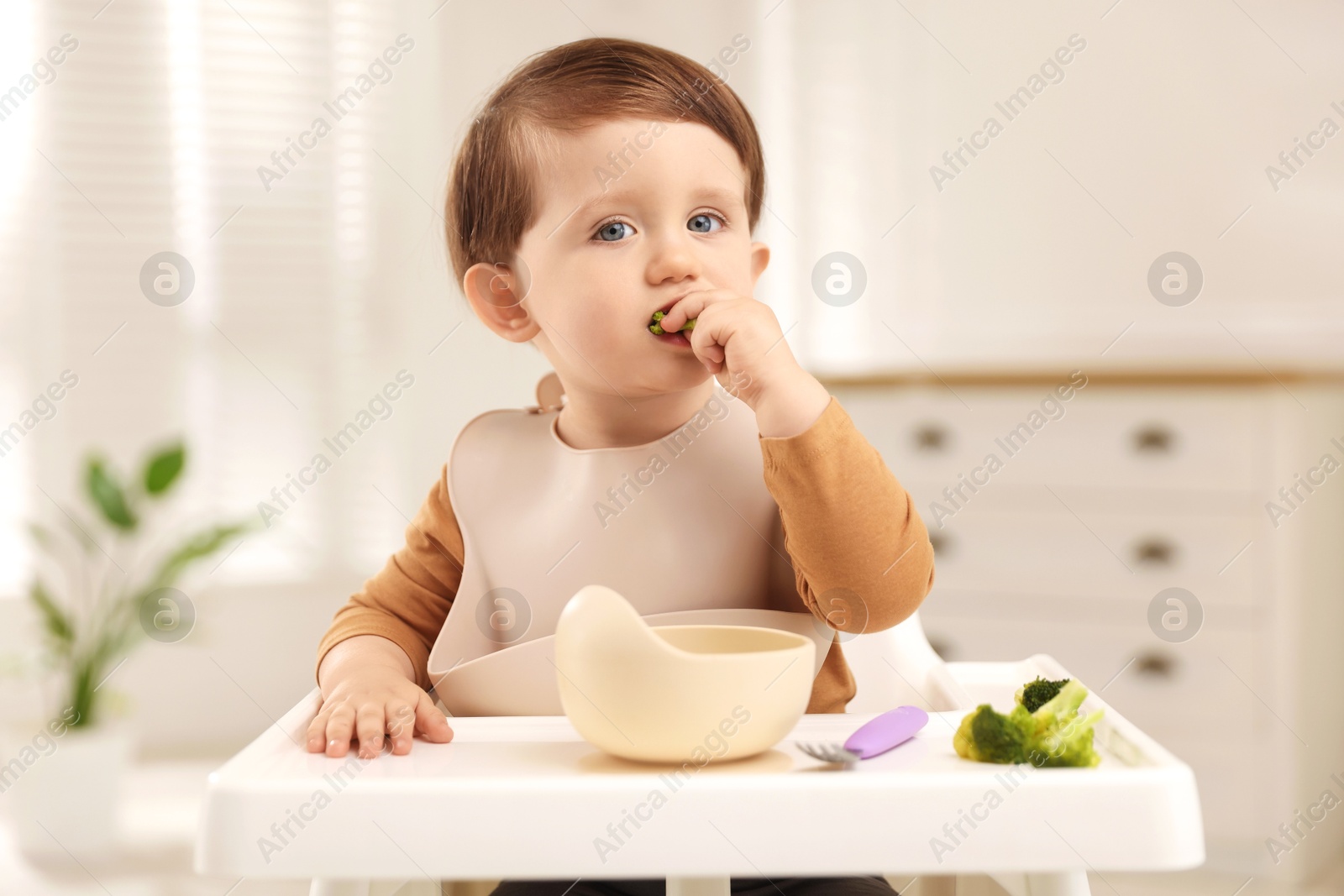 Photo of Cute little baby eating healthy food from bowl in high chair at home