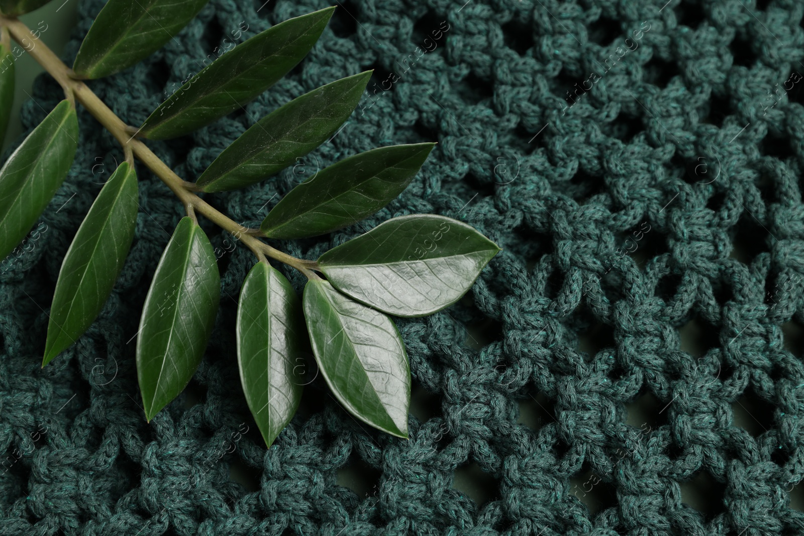 Photo of Macrame shopping bag and branch with leaves as background, above view