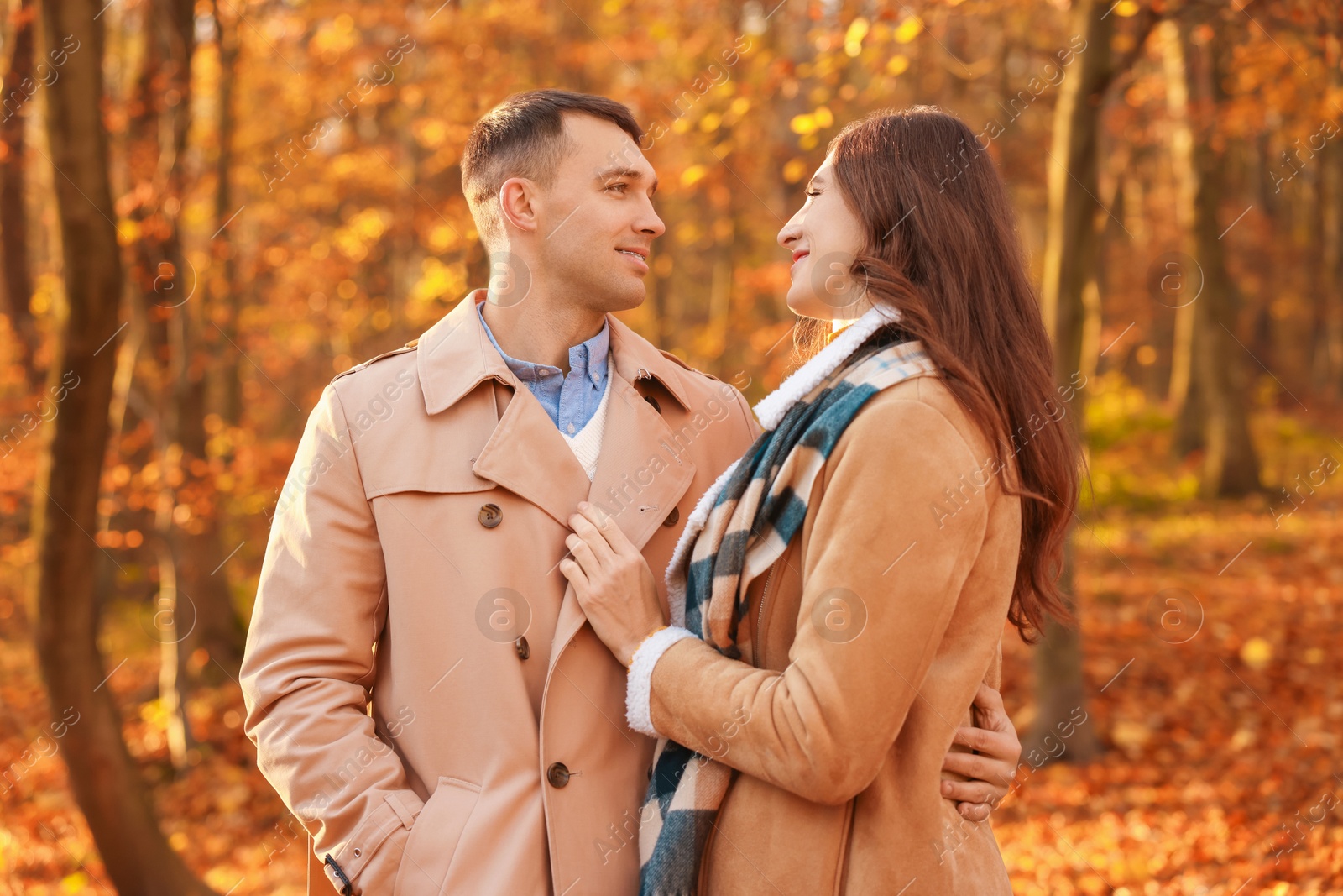 Photo of Happy couple spending time together in autumn park