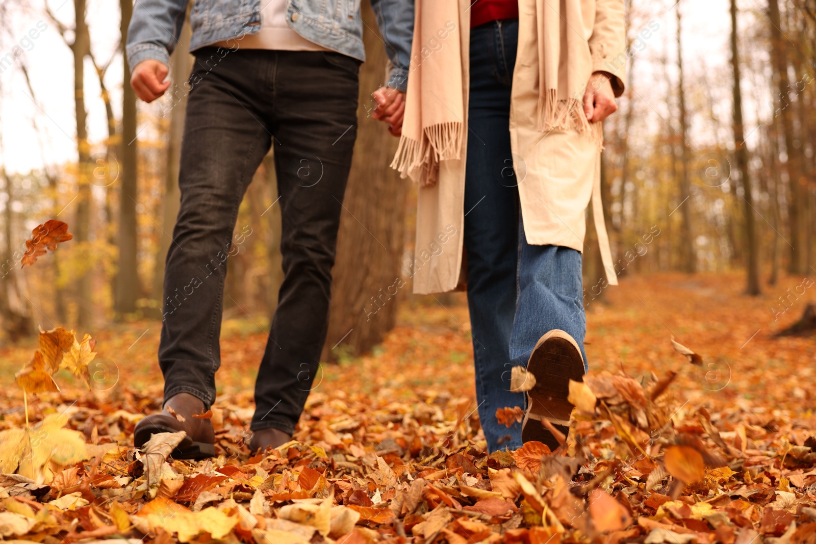 Photo of Couple spending time together in autumn park, closeup