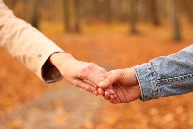 Photo of Couple holding hands in autumn park, closeup