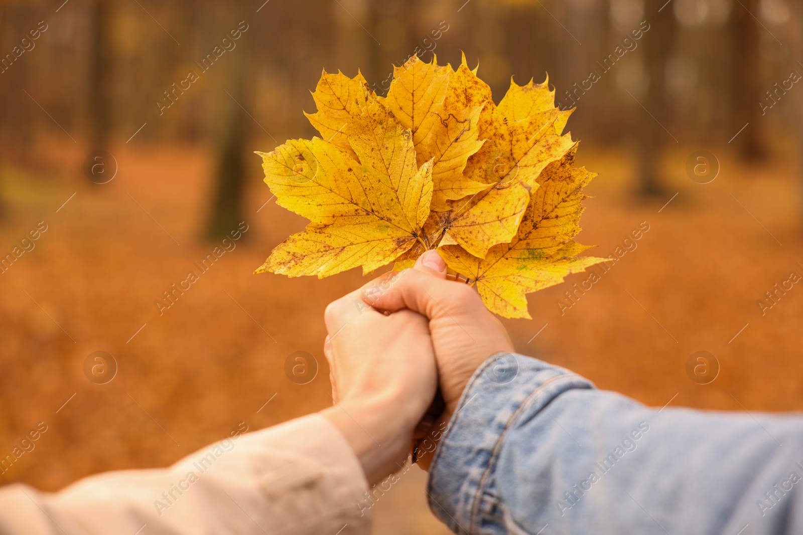 Photo of Couple holding dry leaves in autumn park, closeup