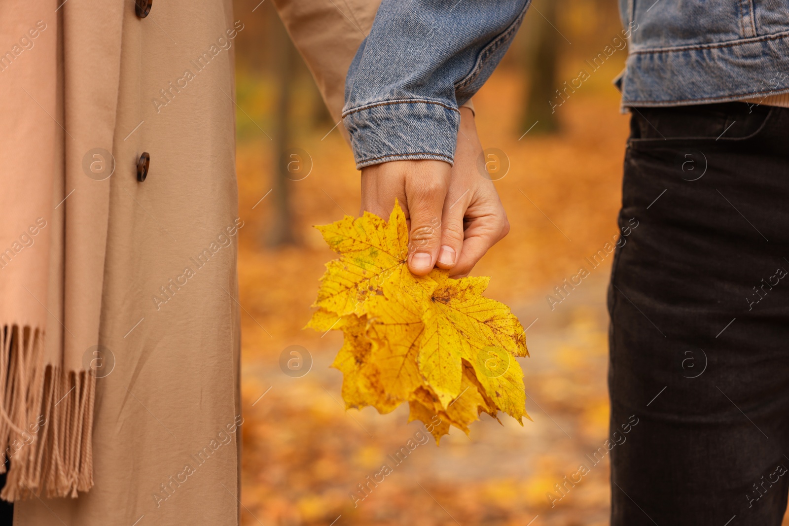 Photo of Couple holding dry leaves in autumn park, closeup