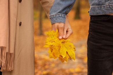 Photo of Couple holding dry leaves in autumn park, closeup