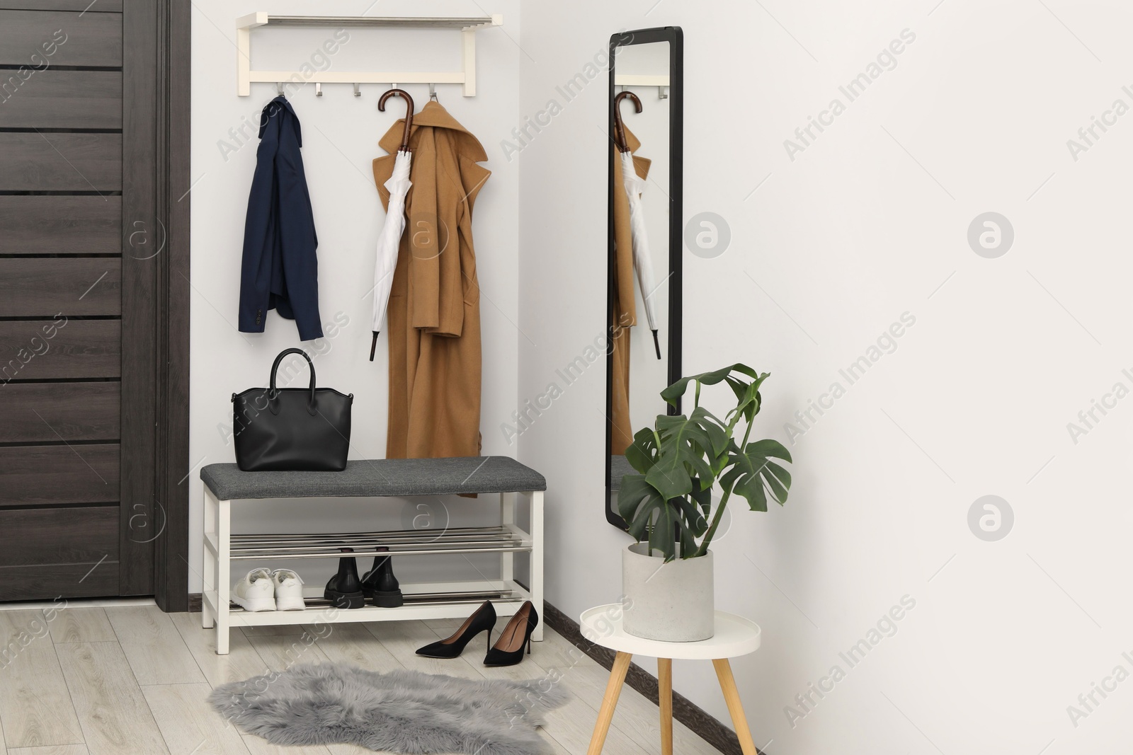 Photo of Mirror, houseplant and storage bench in stylish hallway