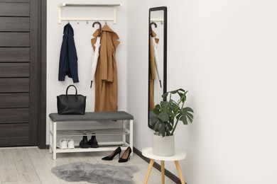 Mirror, houseplant and storage bench in stylish hallway