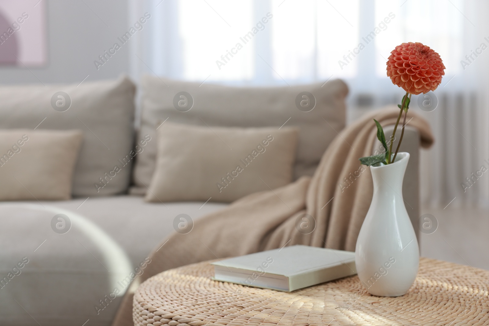 Photo of Book and vase with beautiful dahlia flower on wicker side table in living room, space for text