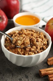 Photo of Delicious apple crisp in bowl, fresh fruits, cinnamon sticks and honey on grey table, closeup