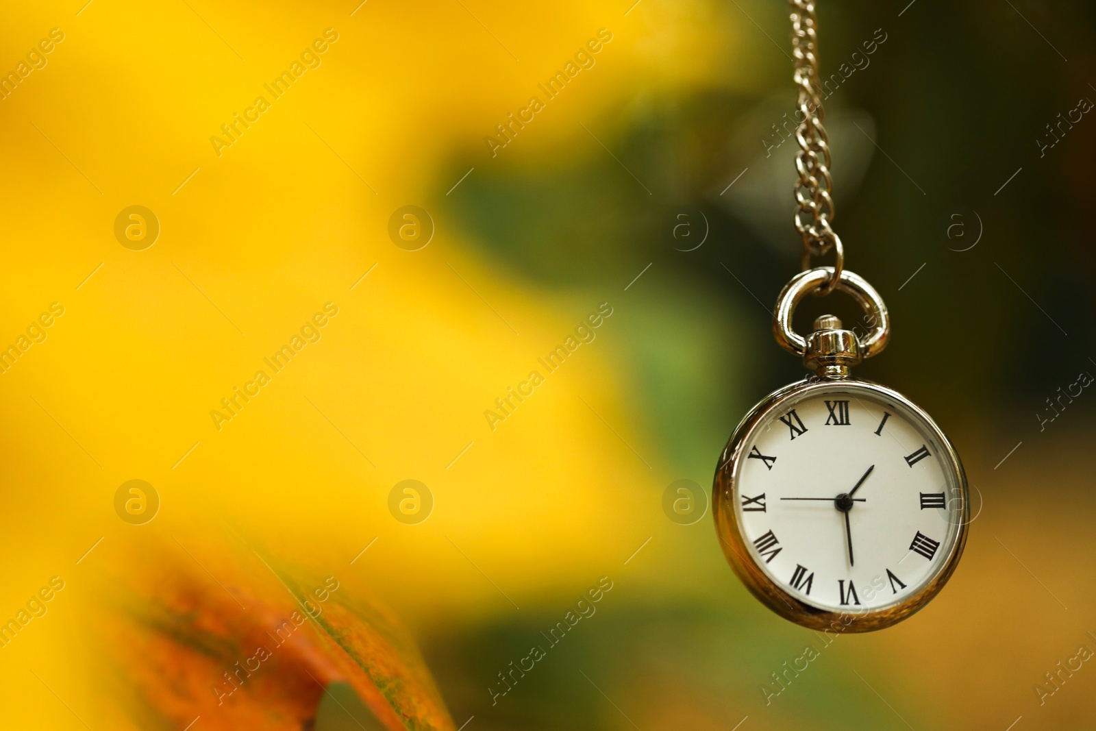 Photo of Autumn time. Chain watch on blurred background, closeup with space for text