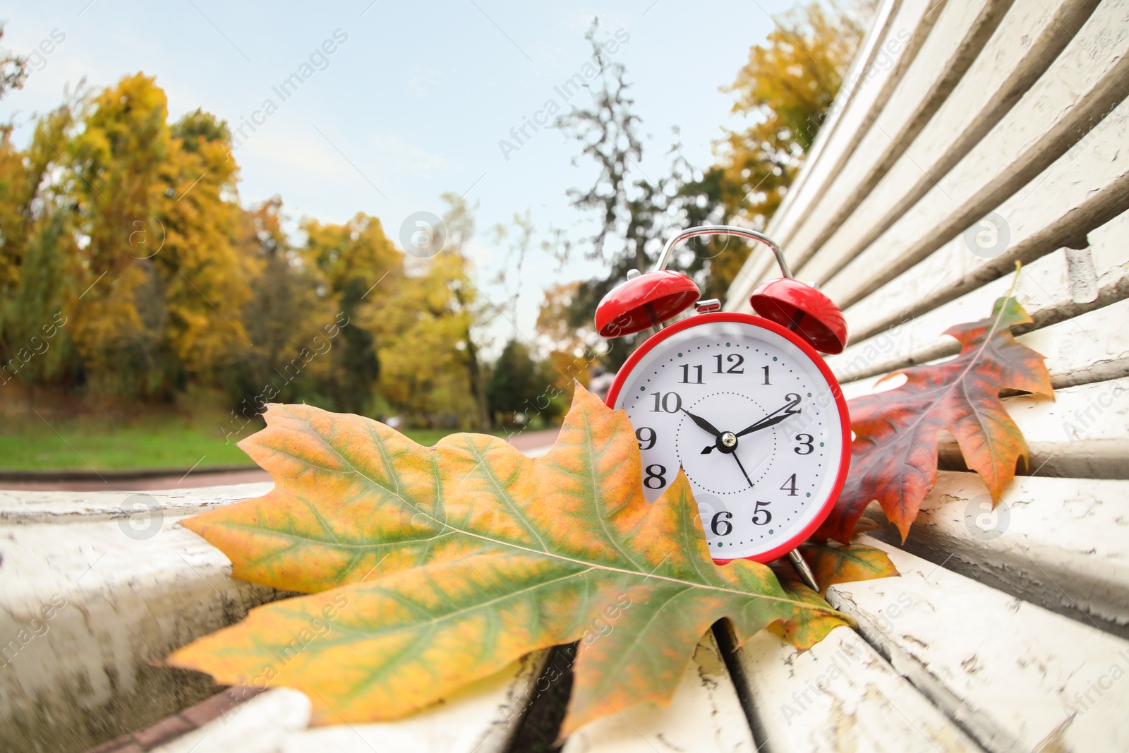 Photo of Autumn time. Alarm clock and fallen leaves on bench in park, wide angle lens