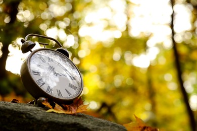 Photo of Autumn time. Alarm clock in forest, space for text