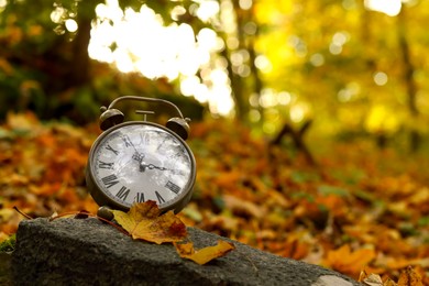 Photo of Autumn time. Alarm clock in forest, space for text