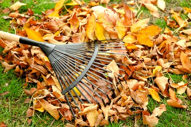 Photo of Fan rake and pile of fallen leaves on green grass