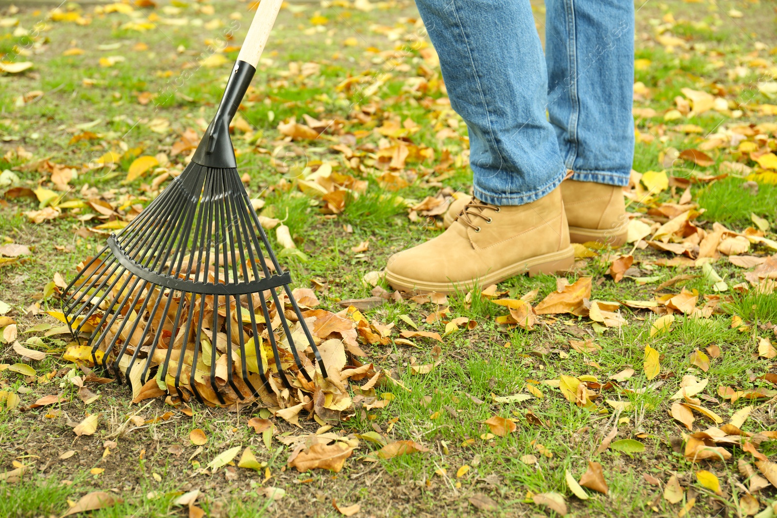 Photo of Man gathering fallen leaves with fan rake outdoors, closeup