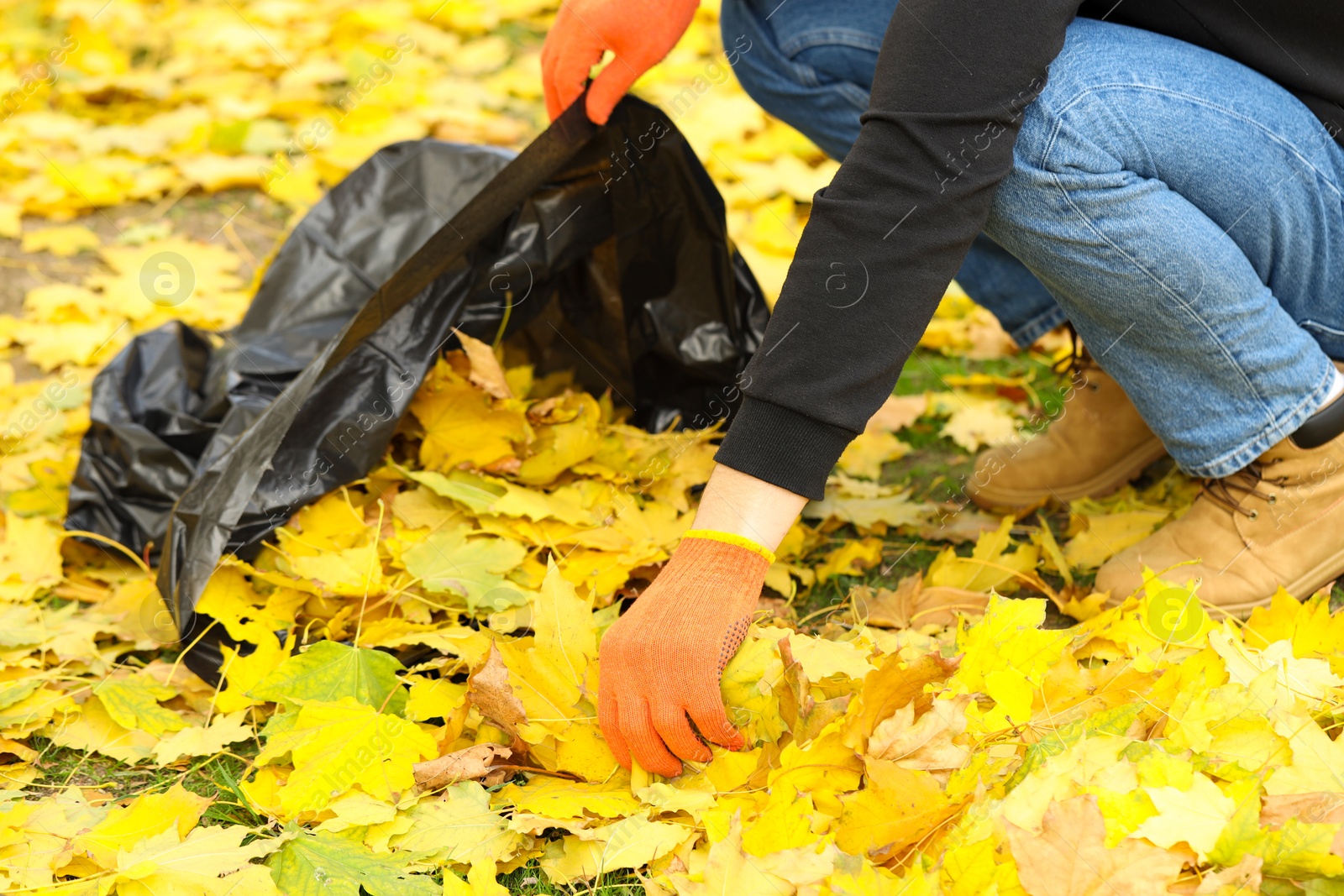 Photo of Man gathering fallen leaves into plastic bag outdoors, closeup