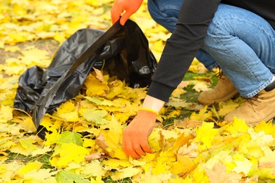 Man gathering fallen leaves into plastic bag outdoors, closeup