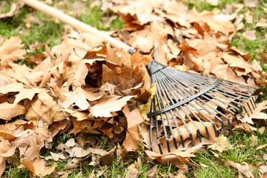 Photo of Fan rake and pile of fallen leaves on green grass