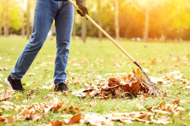 Man gathering fallen leaves with fan rake outdoors, closeup