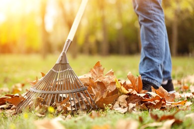 Photo of Man gathering fallen leaves with fan rake outdoors, closeup