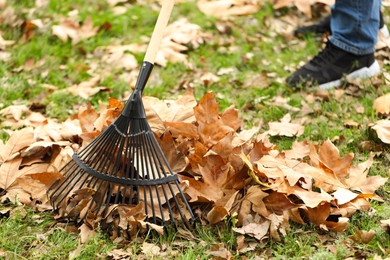 Photo of Man gathering fallen leaves with fan rake outdoors, closeup