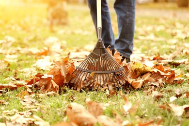 Photo of Man gathering fallen leaves with fan rake outdoors, closeup