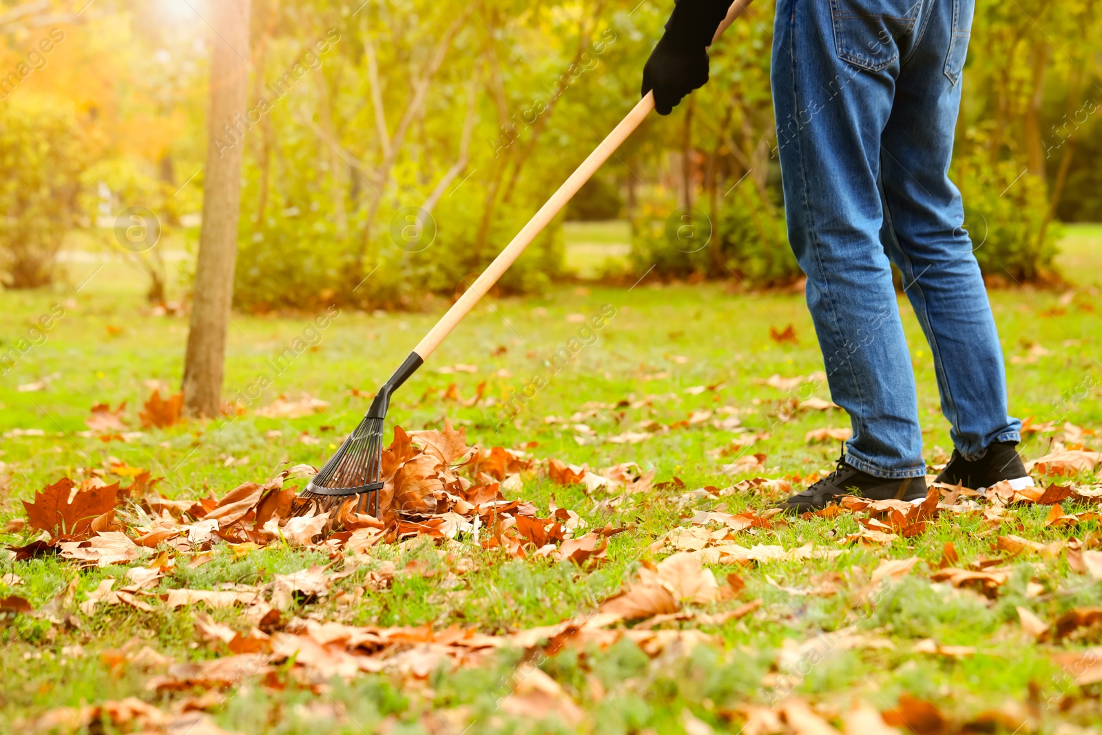 Photo of Man gathering fallen leaves with fan rake outdoors, closeup