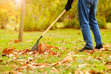 Photo of Man gathering fallen leaves with fan rake outdoors, closeup