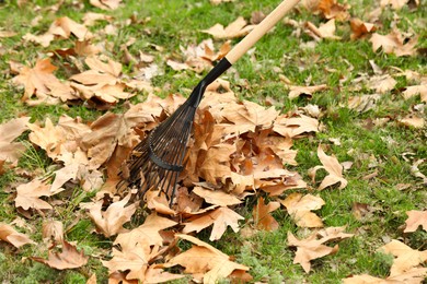 Photo of Gathering fallen leaves with fan rake outdoors