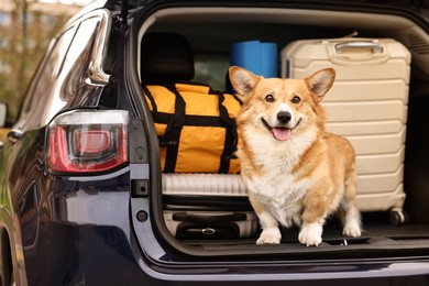 Photo of Pembroke Welsh Corgi with suitcases and other stuff in car trunk