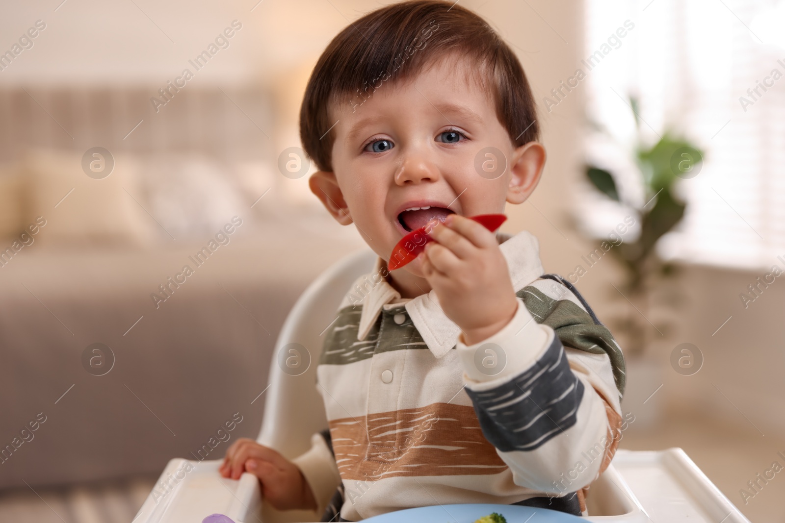 Photo of Cute little baby eating healthy food in high chair at home