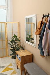 Coat rack with clothes, mirror, houseplant, shoe storage bench and folding screen in hallway. Interior design