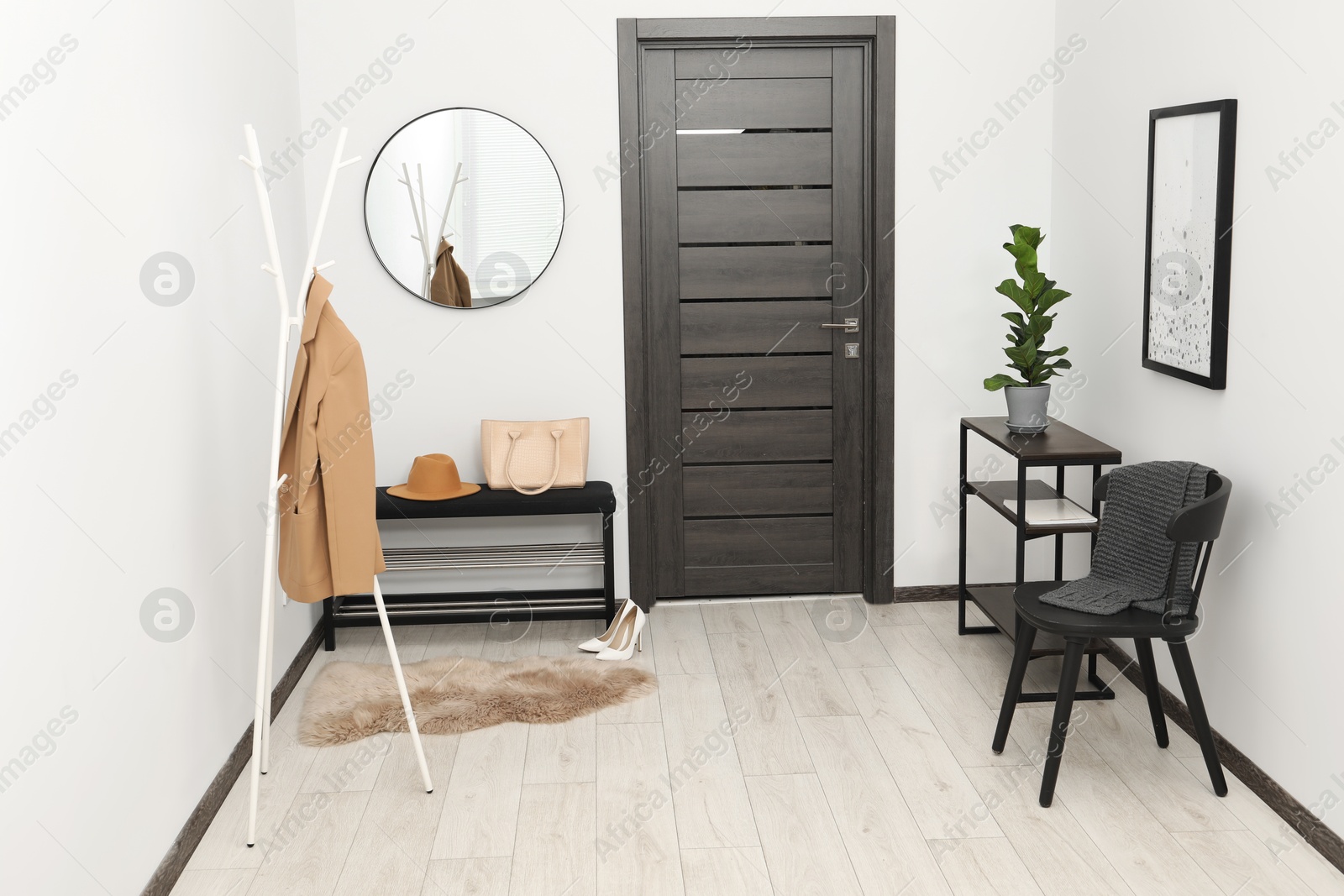 Photo of Clothing rack, mirror, houseplant and stylish furniture in hallway