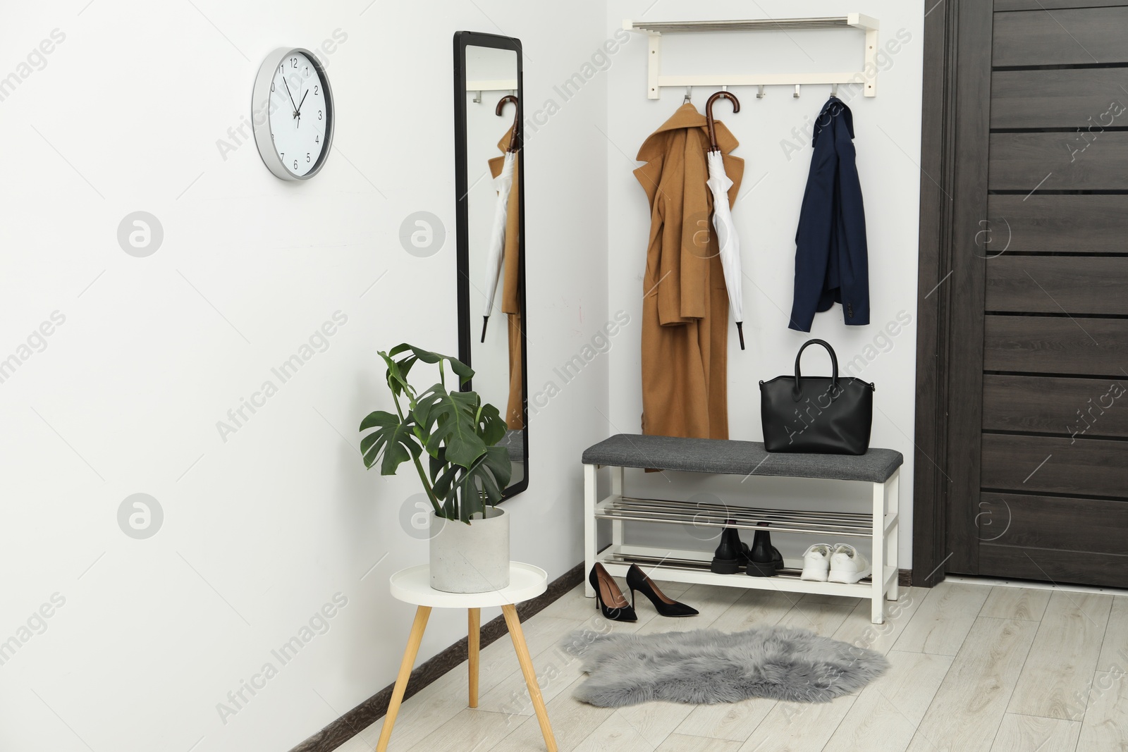 Photo of Mirror, houseplant and storage bench in stylish hallway