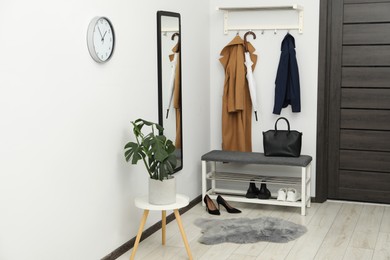 Photo of Mirror, houseplant and storage bench in stylish hallway