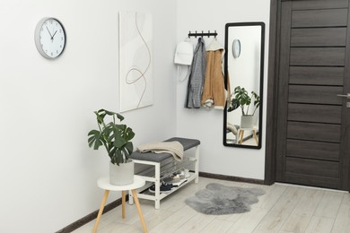 Photo of Mirror, houseplant and bench in stylish hallway