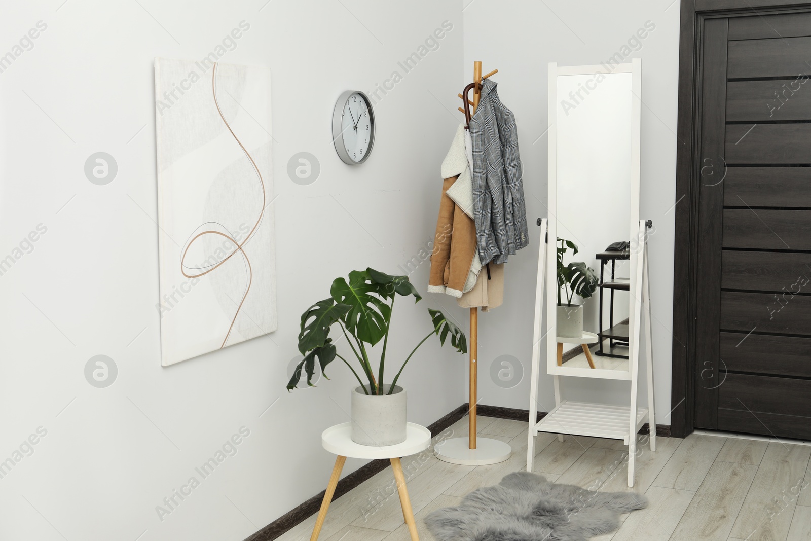 Photo of Clothing rack, mirror and houseplant in stylish hallway