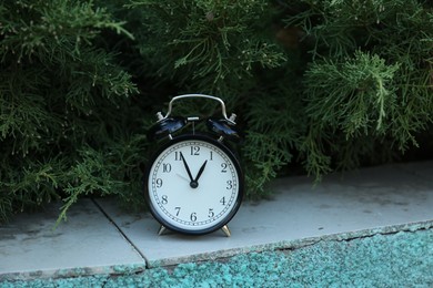 Photo of One alarm clock near fir tree outdoors