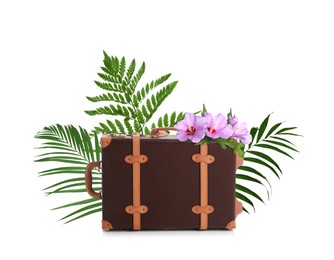 Image of Leather travel suitcase, tropical leaves and flowers on white background