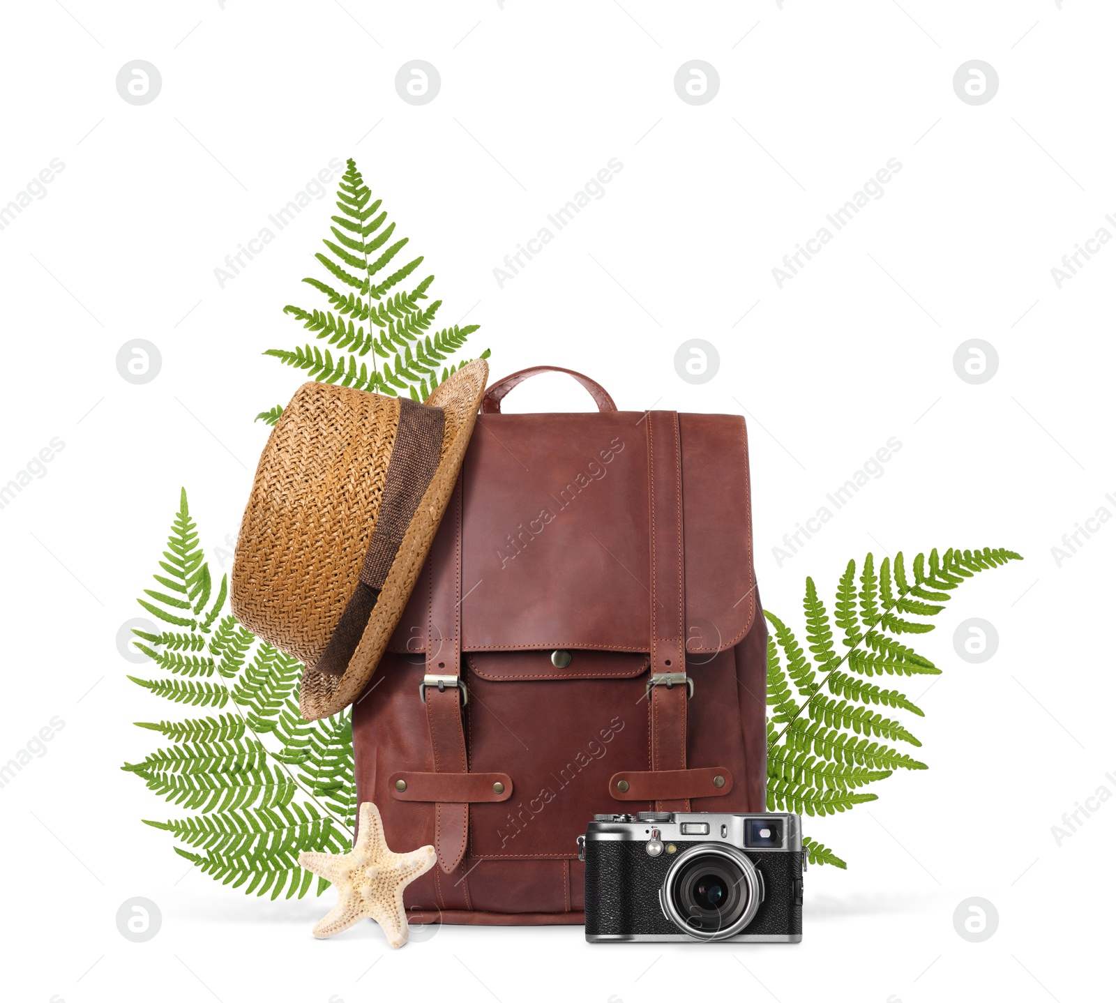 Image of Leather backpack, tropical leaves, hat, sea star and camera on white background. Time to travel