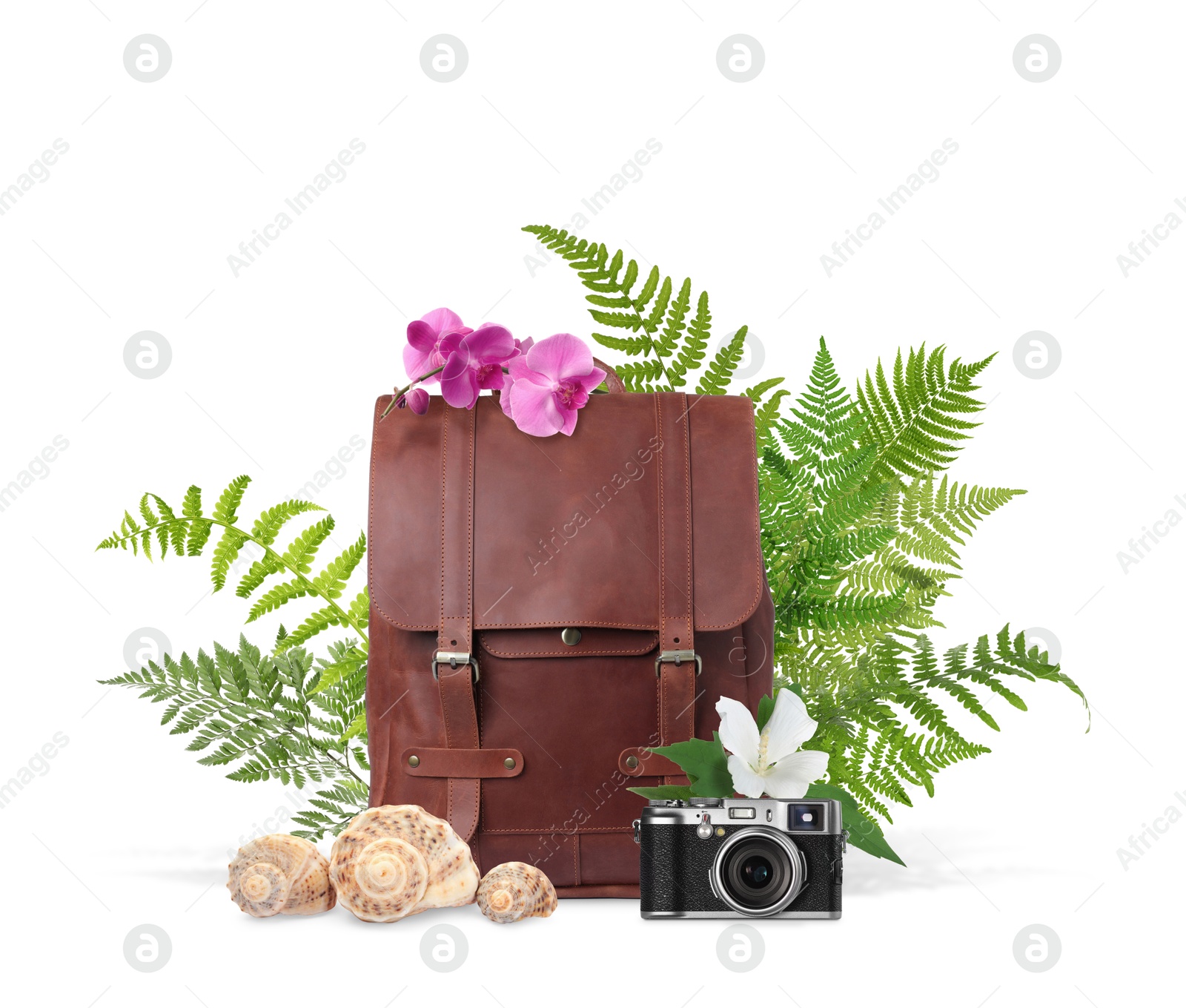 Image of Leather backpack, seashells, camera, tropical leaves and flowers on white background. Time to travel