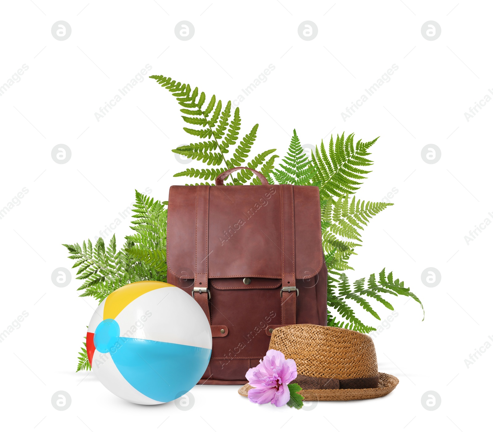 Image of Leather backpack, hat, beach ball, tropical leaves and flower on white background. Time to travel